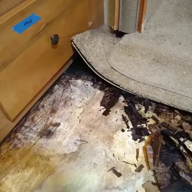 Wood Floor Water Damage in Parkesburg, PA